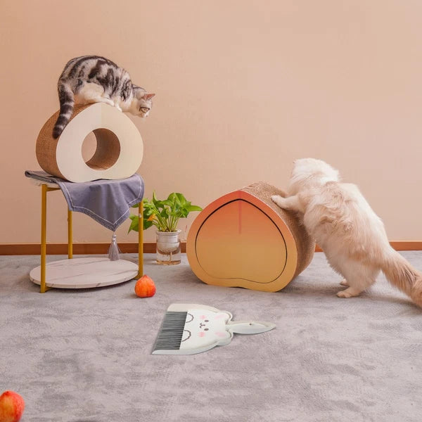 Mini Broom Set Travel Child Cleaning Tools for Housekeeping Dustpan