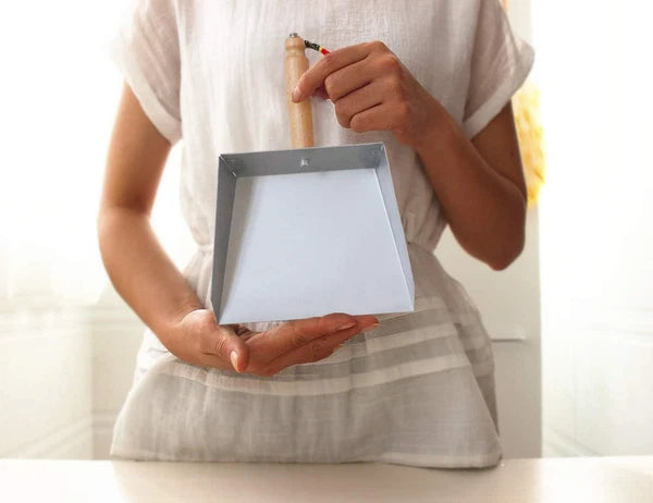 Mini Metal Dustpan and Brush Set Natural Bristle Hand Broom for Fireplace Woodst