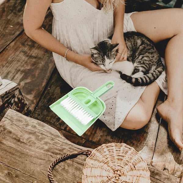 Small Broom Set Hamster Cage Cleaner Multi-use Cleaning and Dustpan