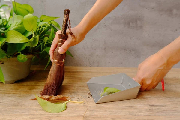 Mini Metal Dustpan and Brush Set Natural Bristle Hand Broom for Fireplace Woodst