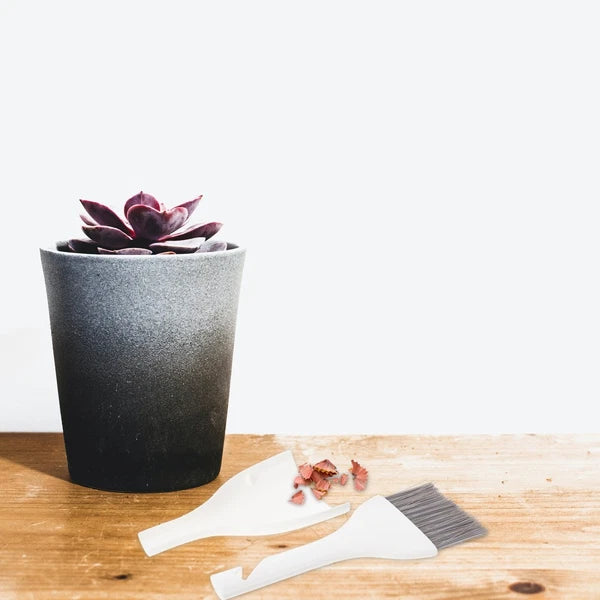 3 Sets Mini Dustpan Broom Desktop Small Hand Brush for Cleaning House Tools